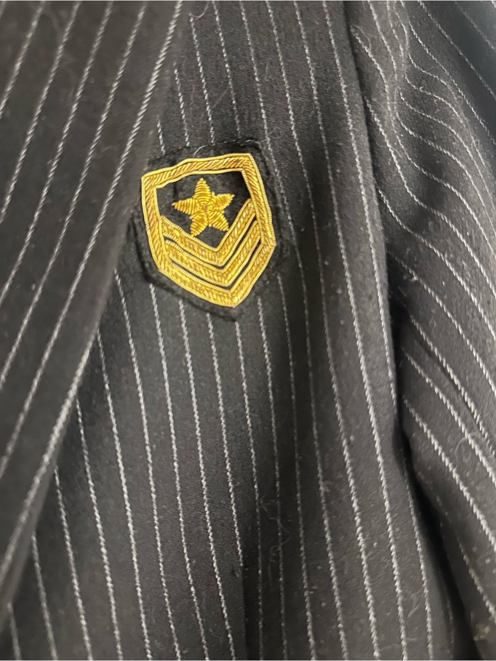 Laveer black  Pinstripe Blazer with Gold Crest - Picture 2 of 6